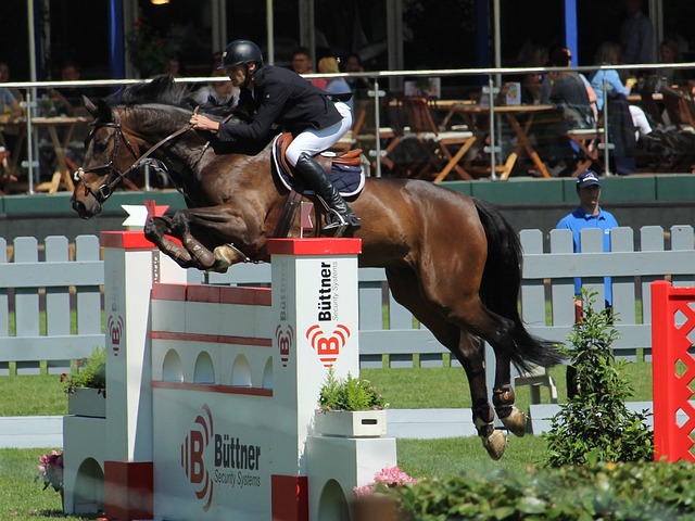 勘探和开采 勘探和开采