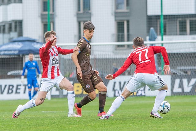 政策将逐步 政策将逐步