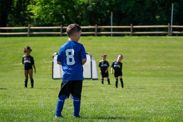 意大利队的 意大利队的