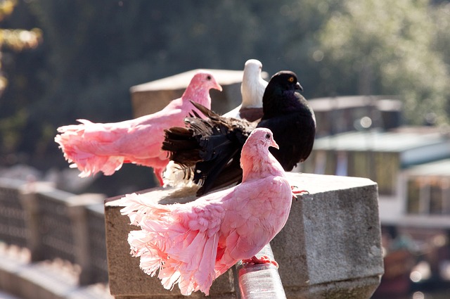 最終拿下勝 最終拿下勝