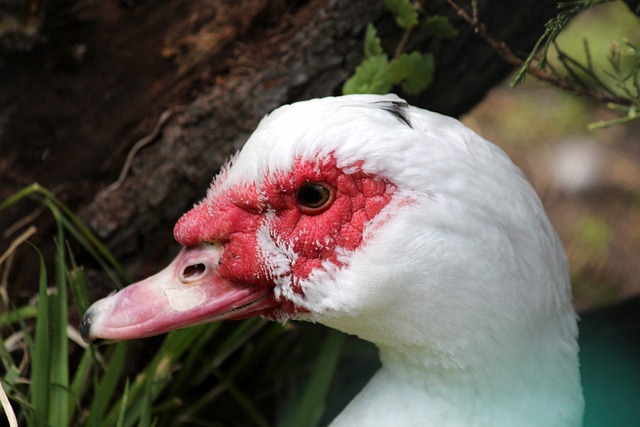 箭的团队实 箭的团队实